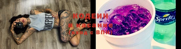 прущие грибы Ладушкин