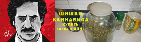 тгк Лагань