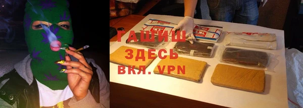 прущие грибы Ладушкин