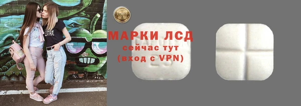 прущие грибы Ладушкин