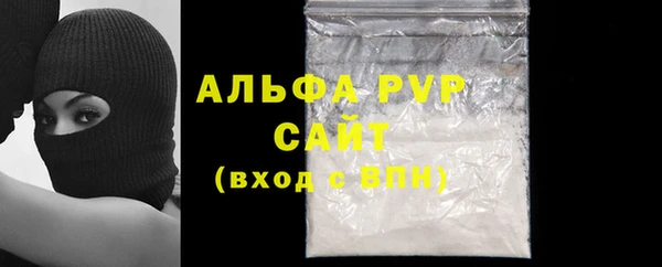 прущие грибы Ладушкин