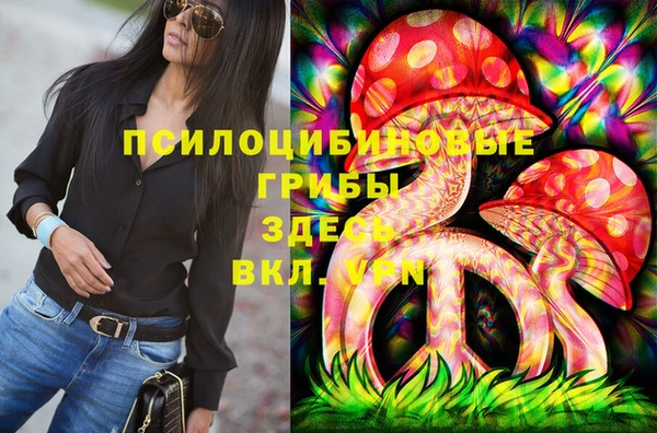 прущие грибы Ладушкин