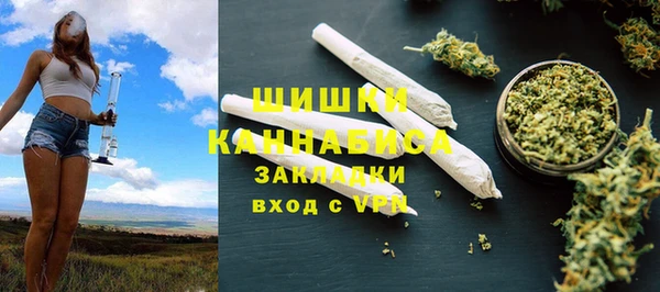 тгк Лагань