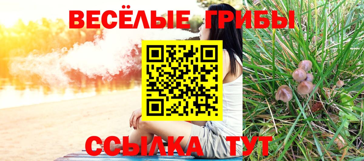наркота  Галлюциногенные грибы мицелий  Братск  Вход с VPN  Галлюциногенные грибы Cubensis 