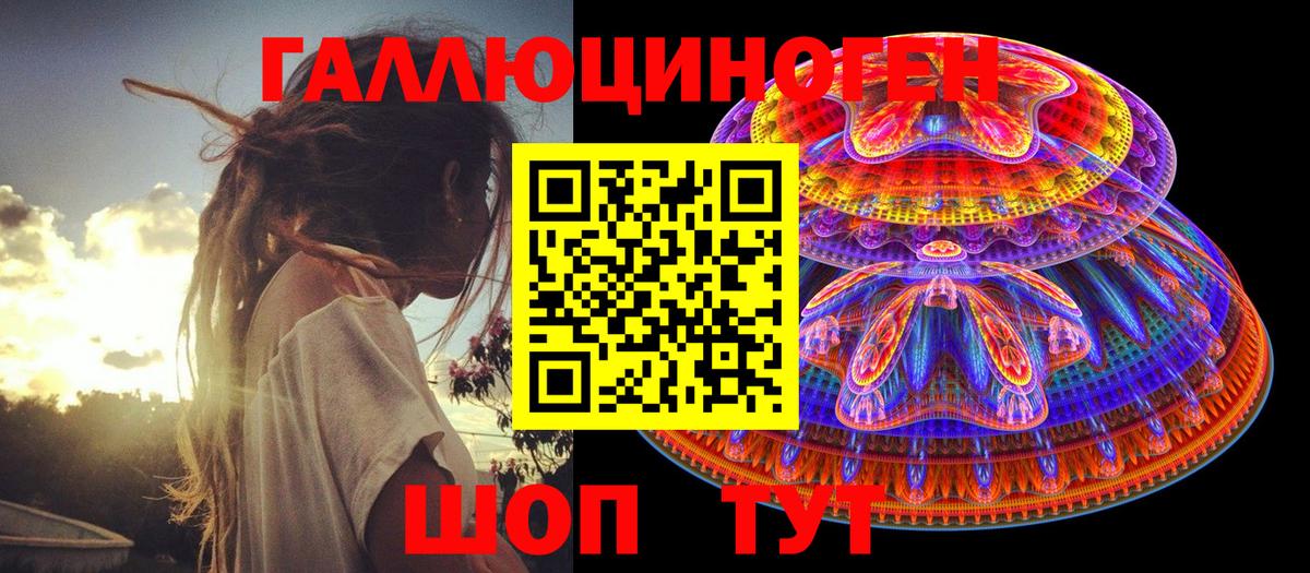 Галлюциногенные грибы Psilocybe Братск