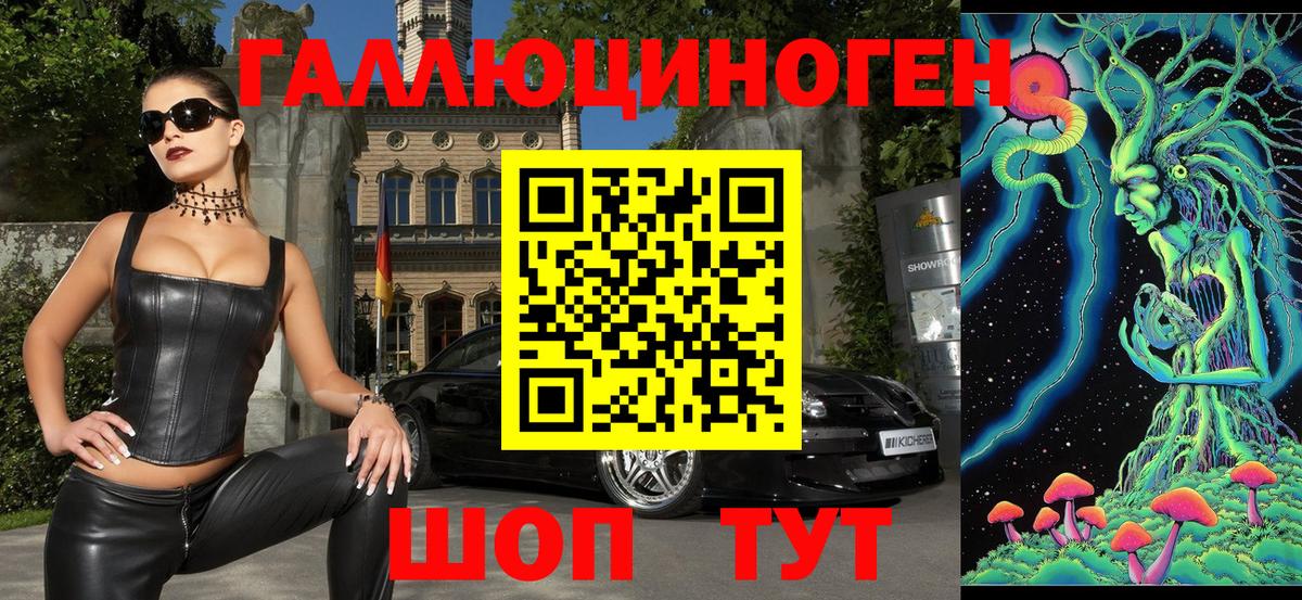 Псилоцибиновые грибы Cubensis  Братск  Псилоцибиновые грибы прущие грибы 