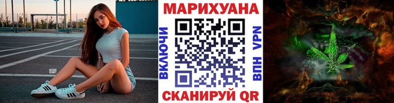 Шишки марихуана гибрид  где продают наркотики  Братск 